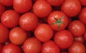 Tomatoes for the potency